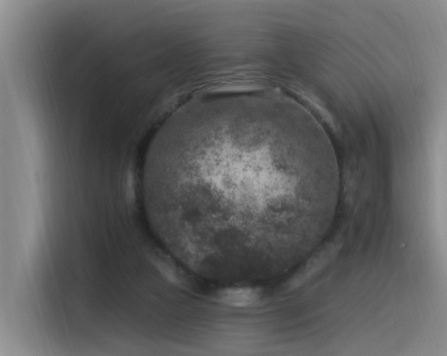 X0000115530161200911061447