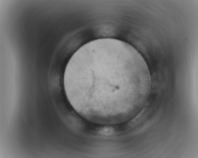 X0000115530162200911061447