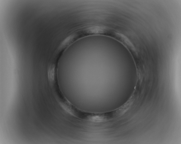 X0000115530163200911061447