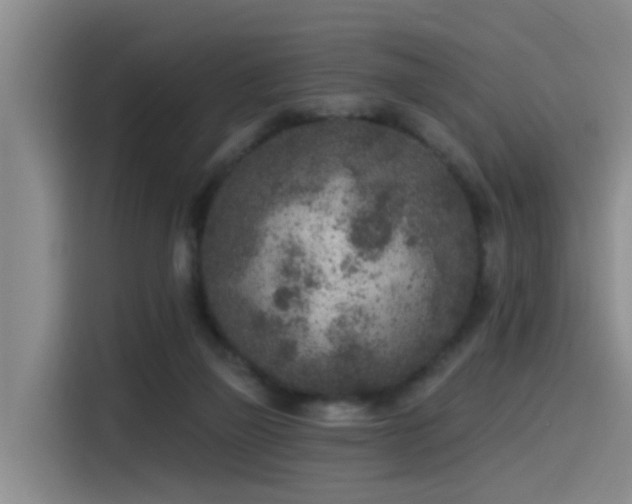 X0000115530165200911061447