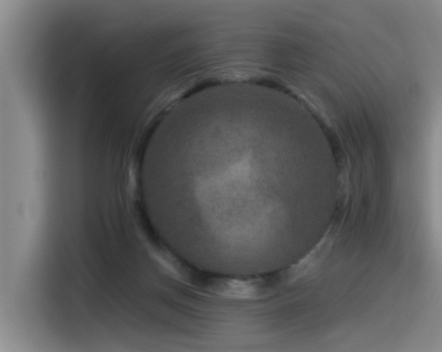 X0000115530166200911061447