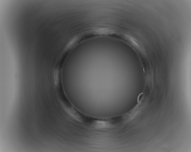 X0000115530167200911061447