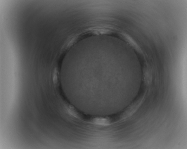 X0000115530169200911061447