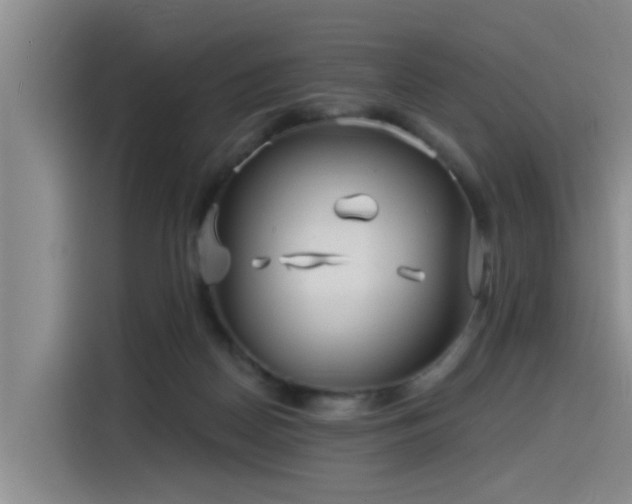 X0000115530170200911061447