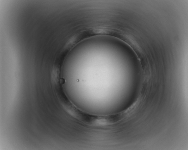 X0000115530171200911061447