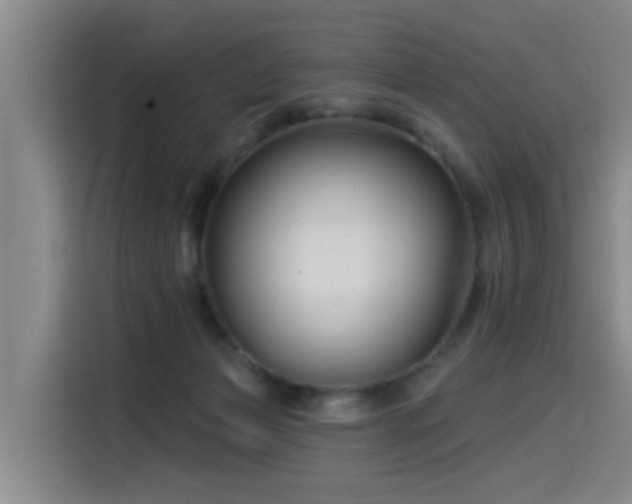 X0000115530173200911061447