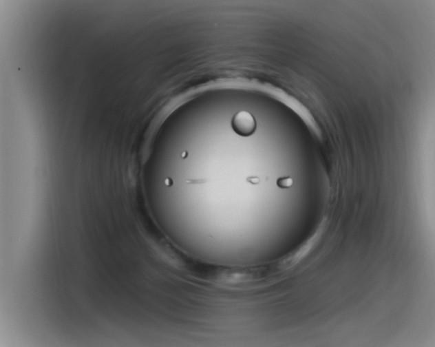 X0000115530174200911061447