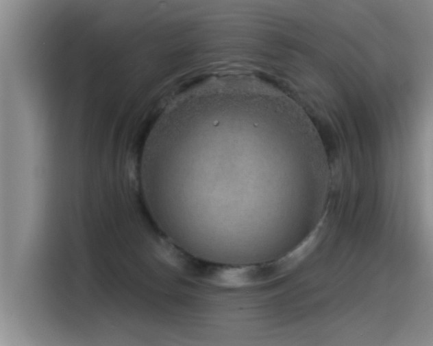 X0000115530178200911061447