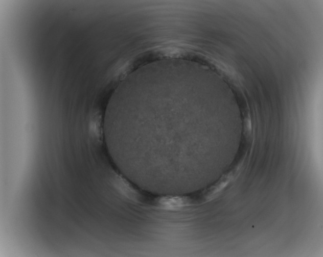 X0000115530181200911061447