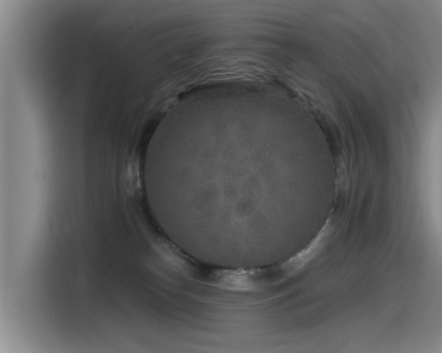 X0000115530182200911061447