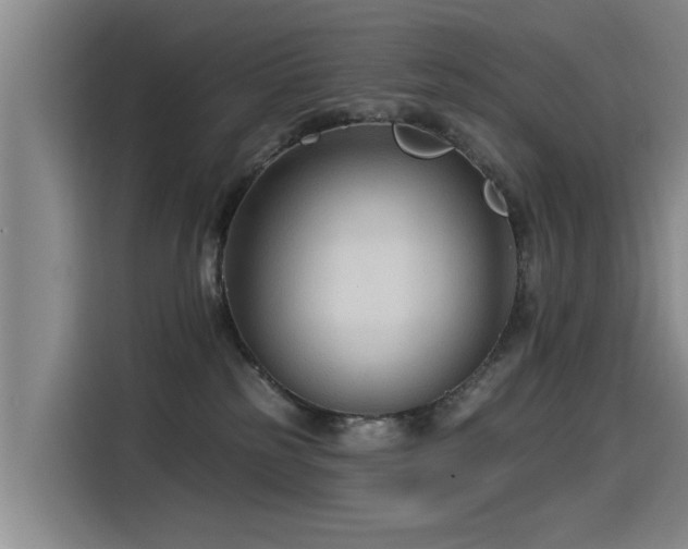 X0000115530185200911061447