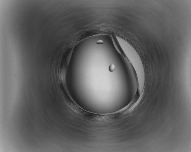 X0000115530186200911061447