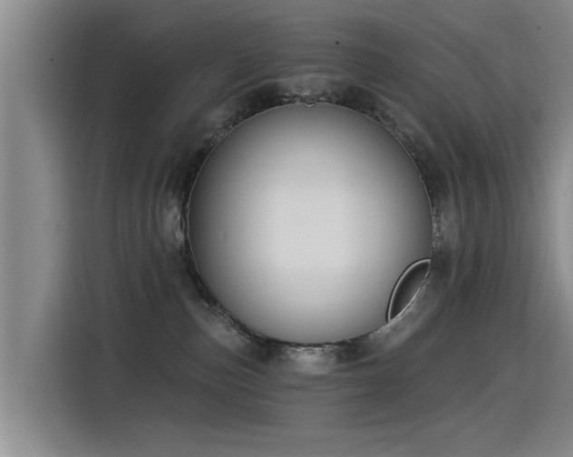 X0000115530187200911061447