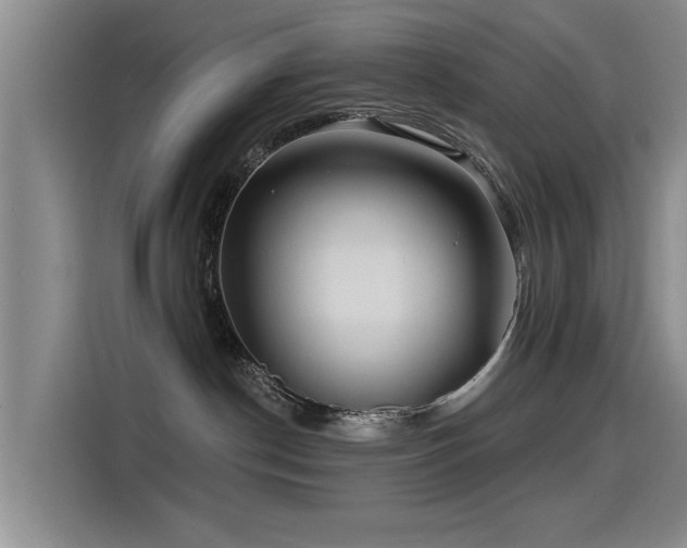 X0000115530190200911061447