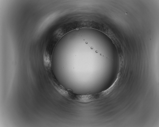 X0000115530191200911061447