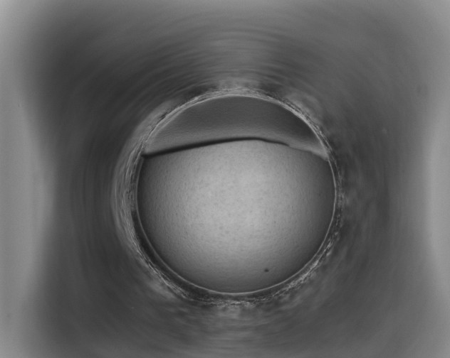 X0000115530193200911061447