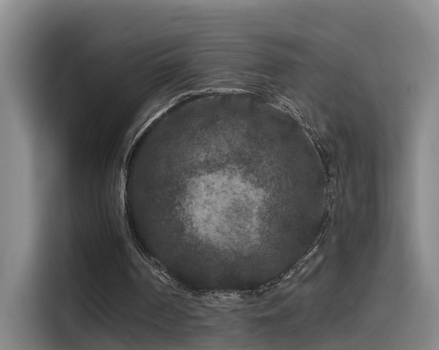 X0000115530194200911061447