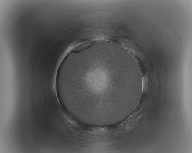 X0000115530195200911061447