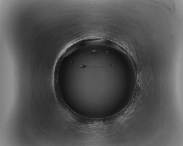 X0000115530196200911061447