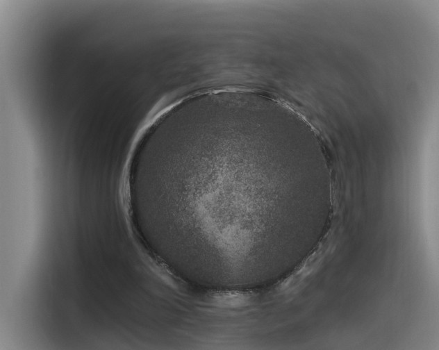 X0000115530198200911061447