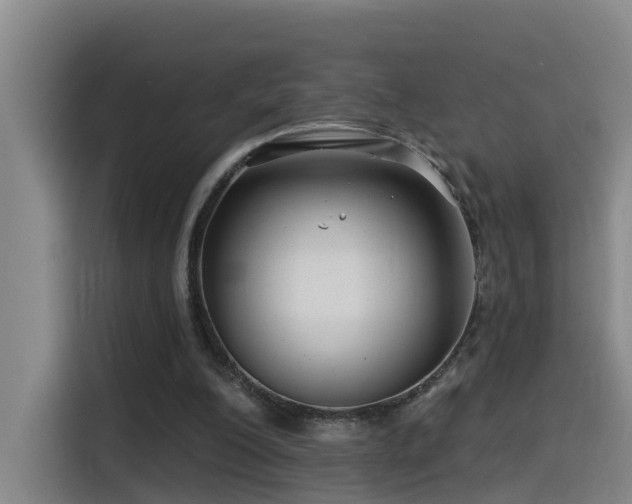 X0000115530200200911061447