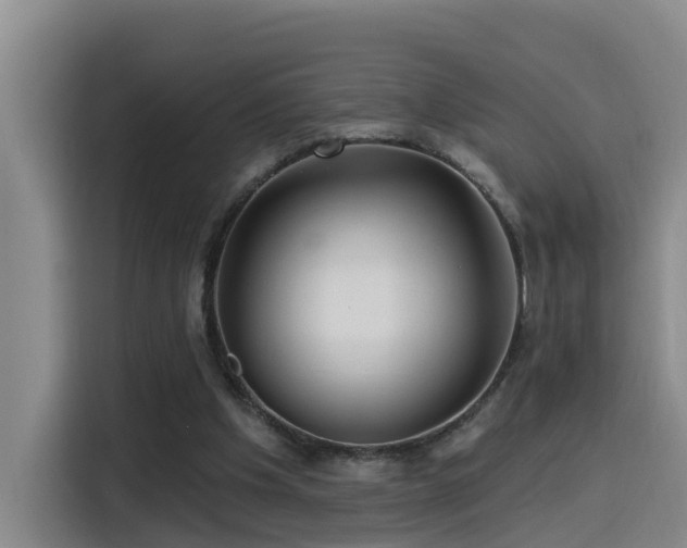 X0000115530201200911061447