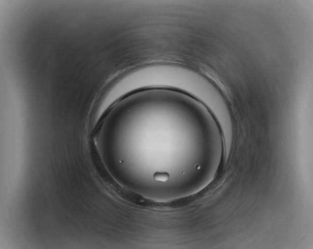 X0000115530203200911061447