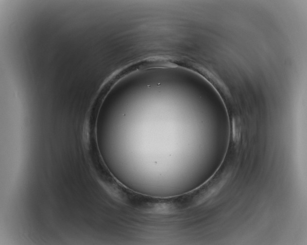 X0000115530204200911061447