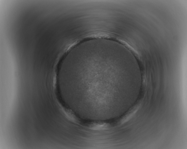 X0000115530206200911061447