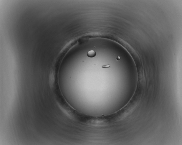 X0000115530208200911061447