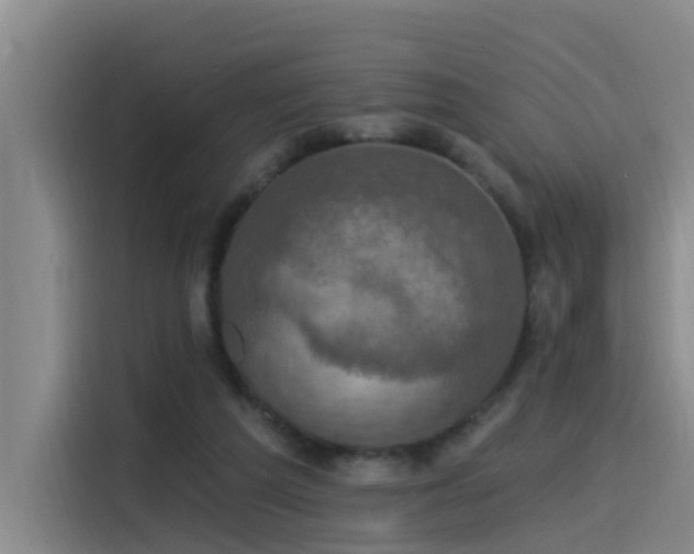 X0000115530209200911061447