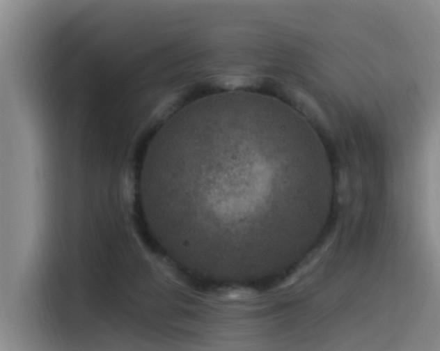 X0000115530210200911061447