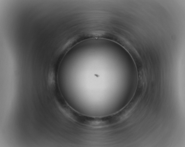 X0000115530212200911061447