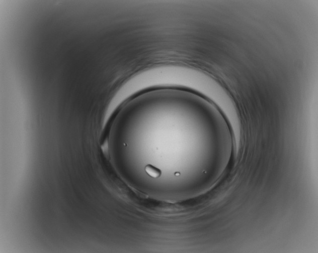 X0000115530215200911061447