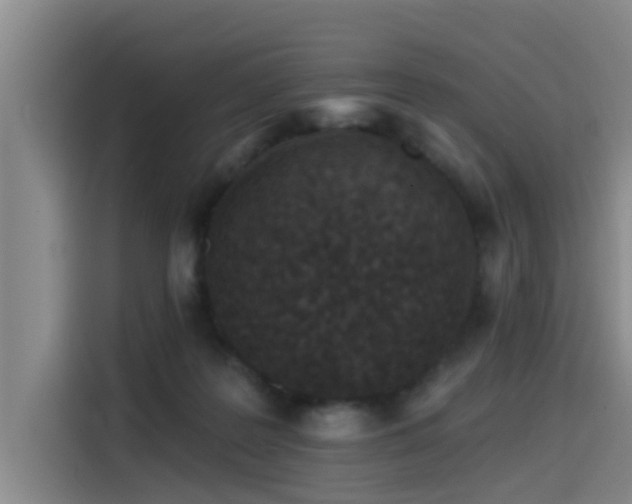 X0000115530219200911061446