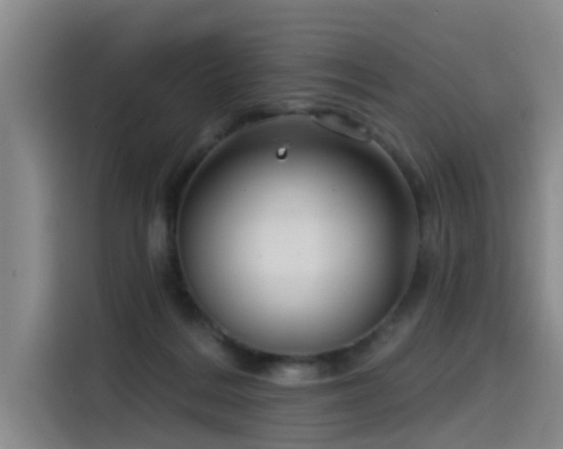 X0000115530220200911061446