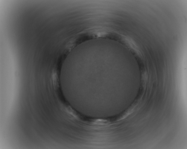 X0000115530222200911061446