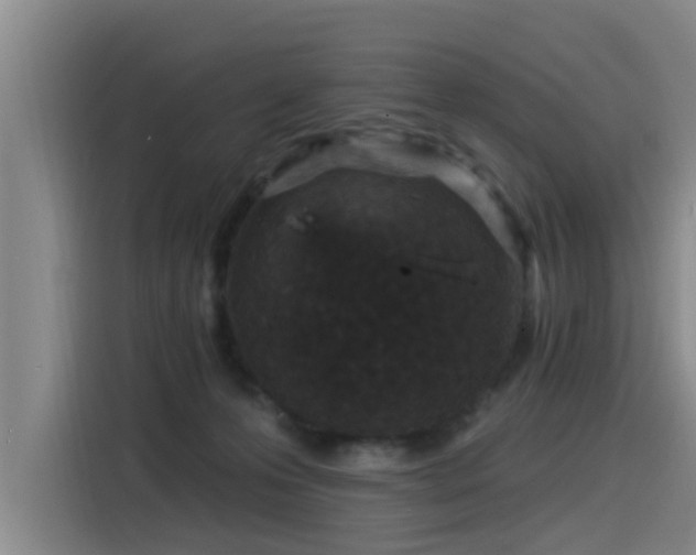 X0000115530223200911061446