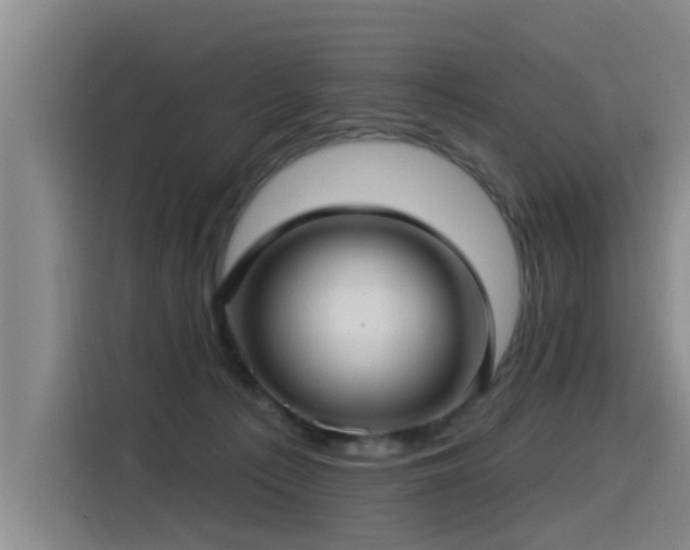 X0000115530225200911061446