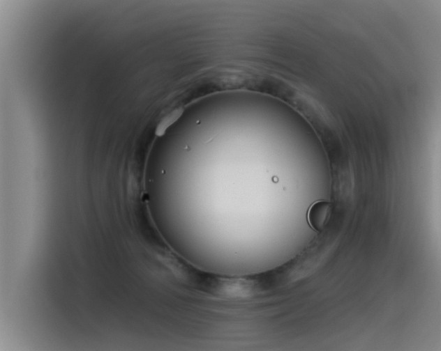 X0000115530226200911061446