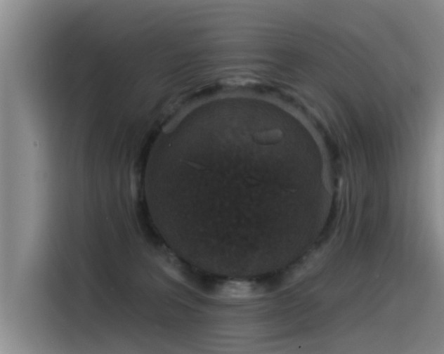 X0000115530227200911061446