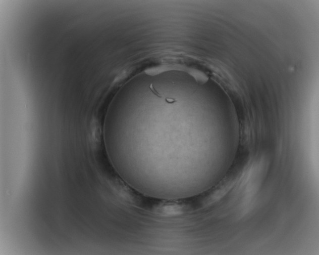 X0000115530228200911061446