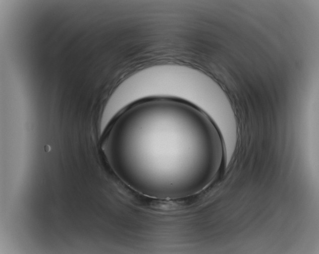 X0000115530229200911061446