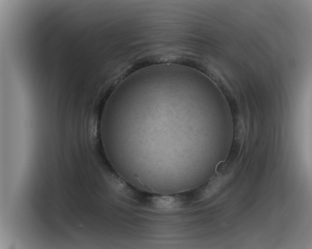 X0000115530230200911061446