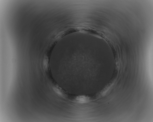 X0000115530231200911061446