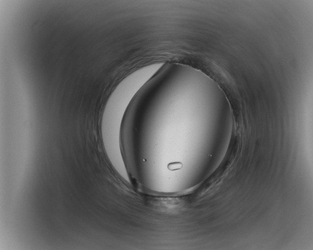 X0000115530233200911061446