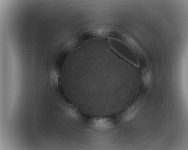 X0000115530235200911061446