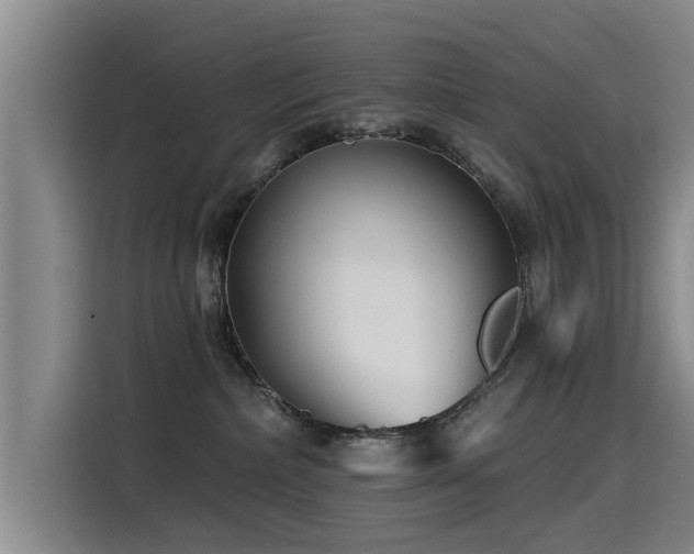 X0000115530236200911061446