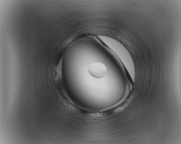 X0000115530237200911061446