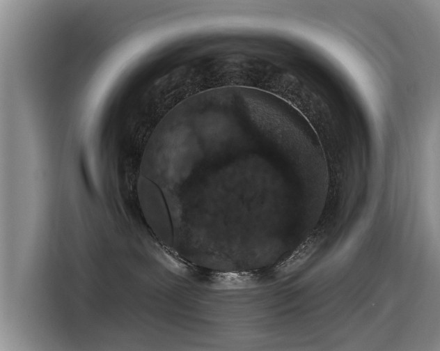 X0000115530239200911061446